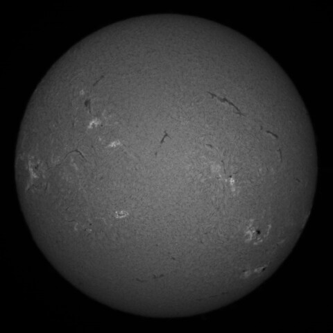 8/30朝の太陽(Hα中心付近)