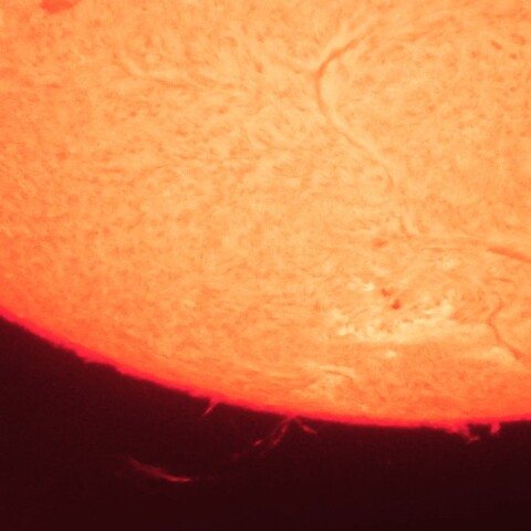 8/30朝の太陽(プロミネンス②)