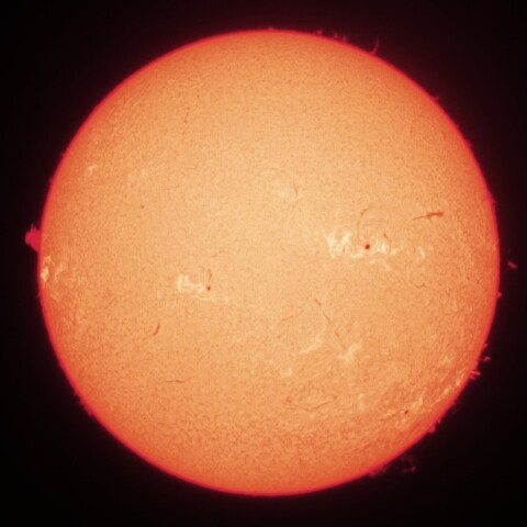 9/13朝の太陽(Hα・カラーにて)