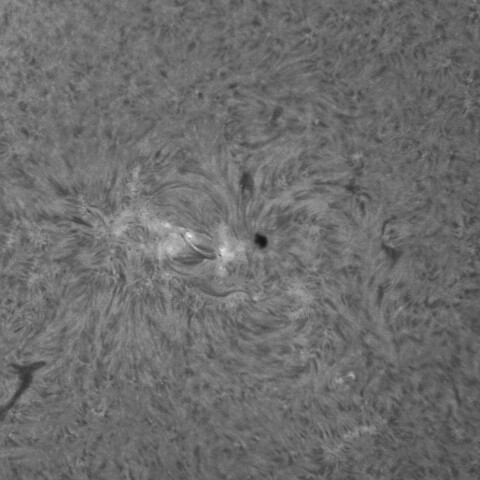 9/14朝の太陽(活動領域3824)