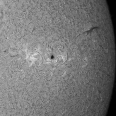 9/14朝の太陽(活動領域3814付近)
