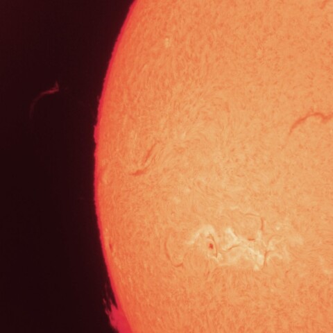 9/16朝の太陽(活動領域3825付近とプロミネンス)