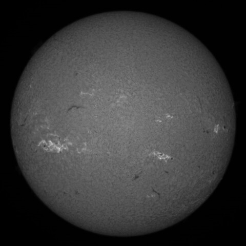 9/16朝の太陽(Hα中心付近)