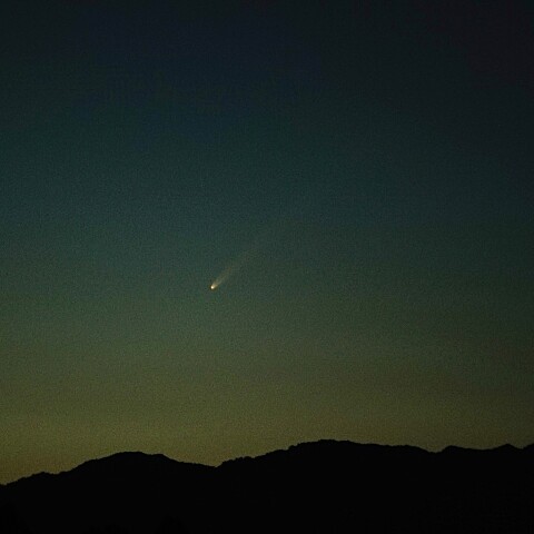 10/1紫金山・アトラス彗星