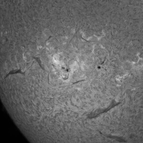 10/1朝の太陽(Hα・3839、3842、3844付近)