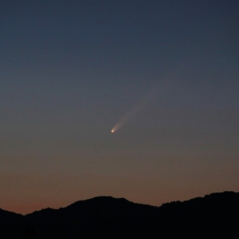 10/2紫金山・アトラス彗星