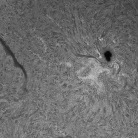 10/11昼の太陽(3848付近)