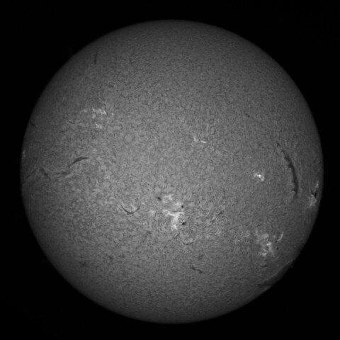 10/14朝の太陽(Hα中心付近)