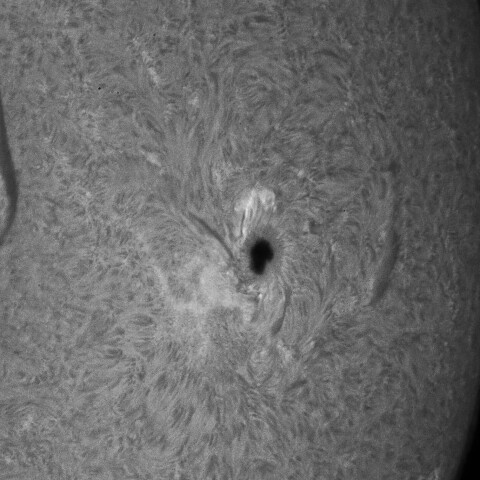 10/12朝の太陽(3848)