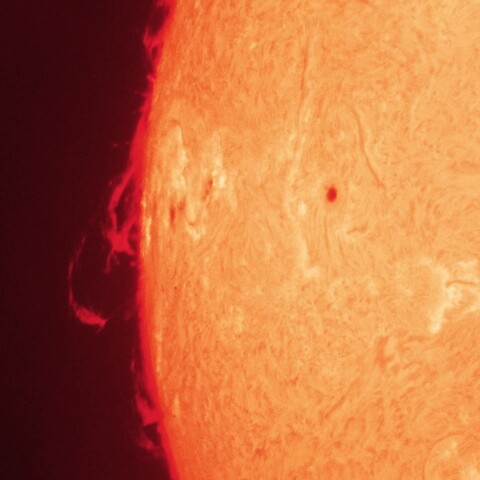 10/24朝の太陽(プロミネンス)