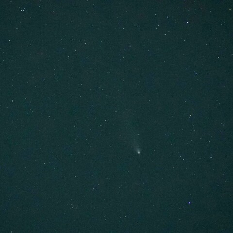 10/30紫金山・アトラス彗星