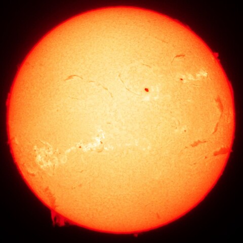 11/6昼の太陽(Hα・カラーにて)