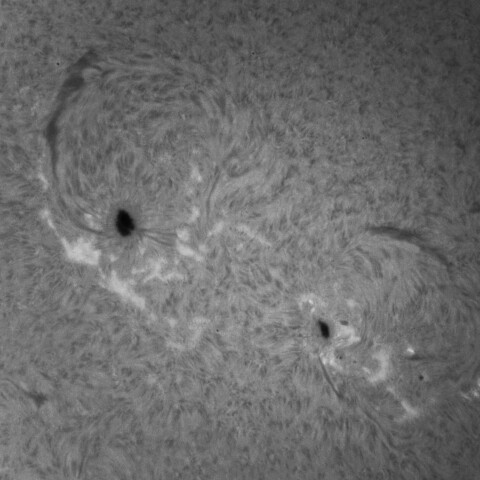 11/4朝の太陽(3878、3879付近)