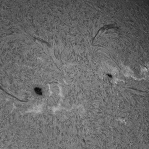 11/6昼の太陽(3878、3879付近)