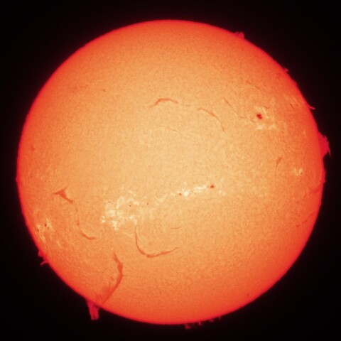 11/8昼の太陽(Hα・カラーにて)