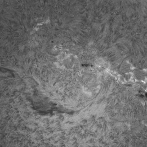 11/13朝の太陽(Hα　3889、3892付近)