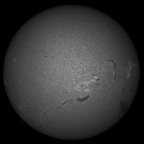 11/14昼の太陽(Hα中心付近)