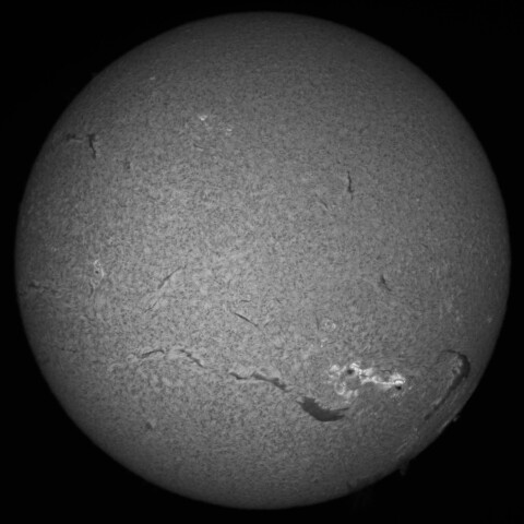 11/16朝の太陽(Hα中心付近)