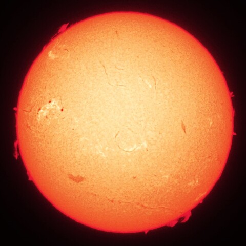 11/25朝の太陽(Hα中心付近・カラーにて)