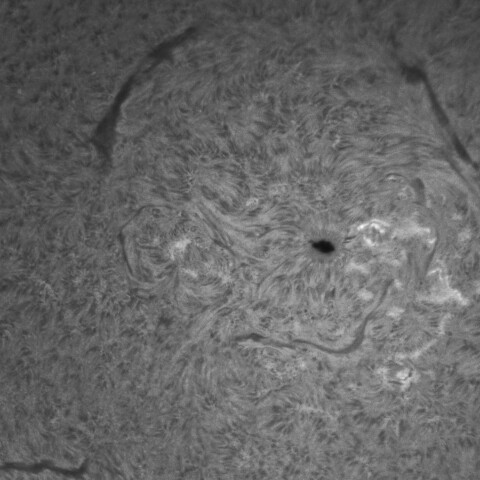 12/2昼の太陽(3910付近)