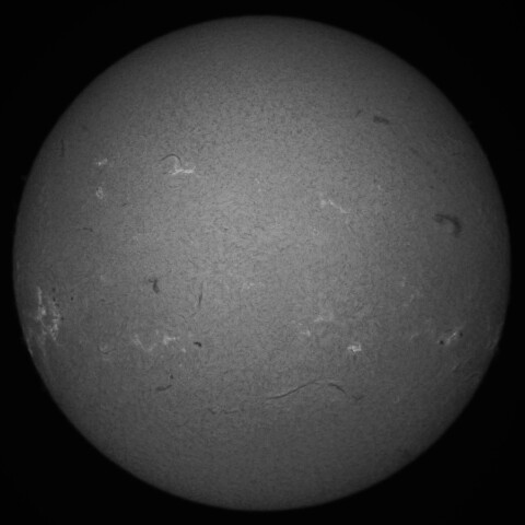 12/20昼の太陽(Hα中心付近)