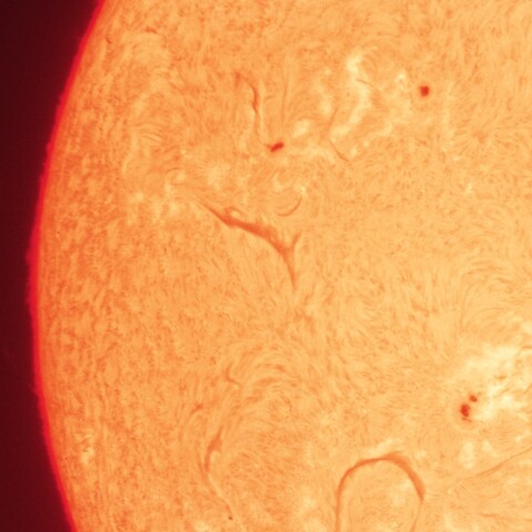 1/19の太陽(活動領域＋プロミネンス)