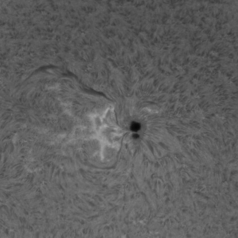 1/19の太陽(3959付近)