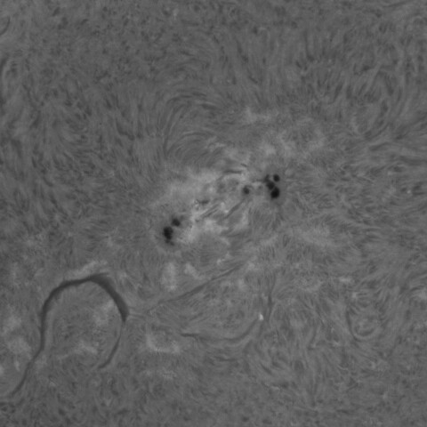 1/19の太陽(3961付近)