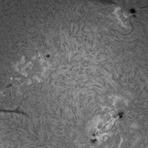 1/21朝の太陽(黒点群)