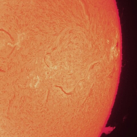 1/26午前の太陽(活動領域3961付近+プロミネンス)