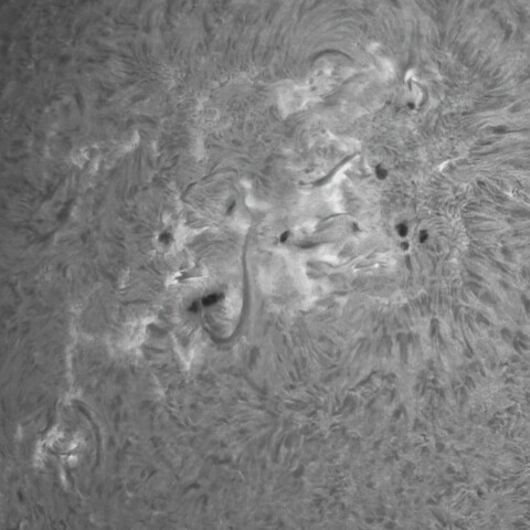 2/1午前の太陽(Hα・活動領域3978付近)