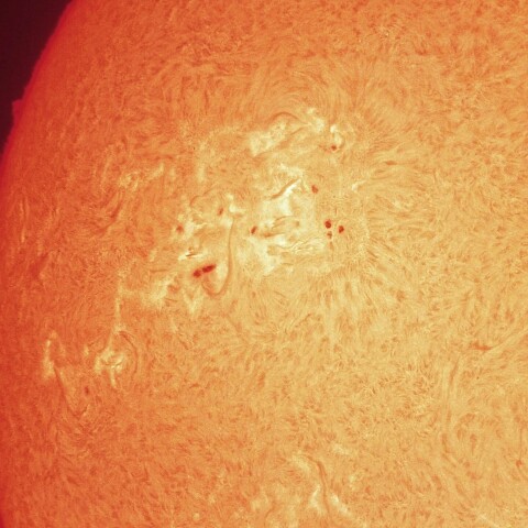 2/1午前の太陽(Hα・活動領域3978付近)カラーにて