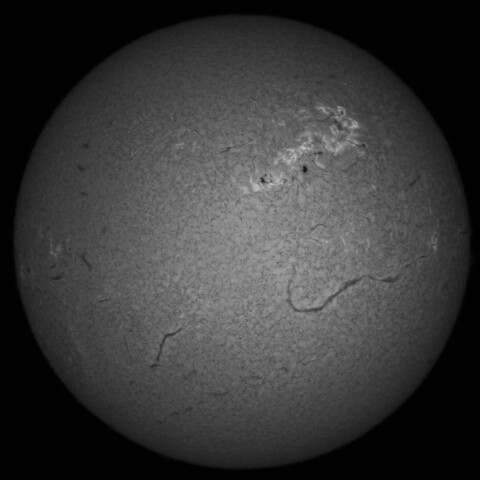 2/6朝の太陽(Hα中心付近)