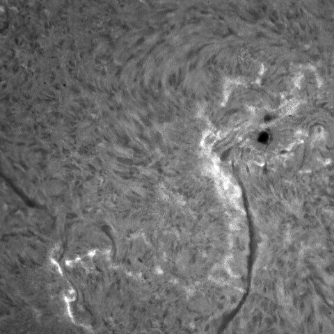2/15朝の太陽(3990付近)