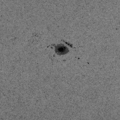 黒点半暗部周辺の現象(3990付近)2/16　※４K動画切り出し加工テスト