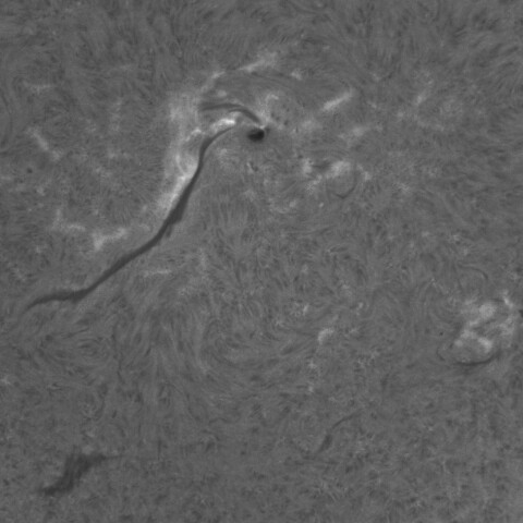 2/16昼の太陽(3990付近)