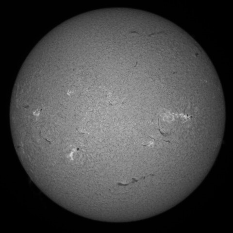 3/10朝の太陽(Hα中心付近)