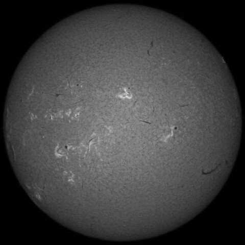 3/14朝の太陽(Hα中心付近)