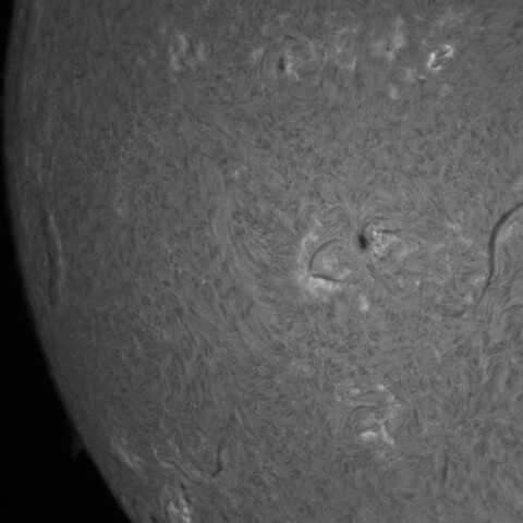 3/14朝の太陽(4021付近)
