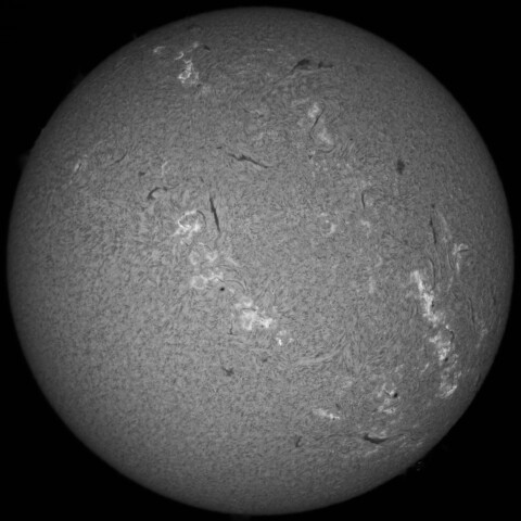 3/20朝の太陽(Hα中心付近)