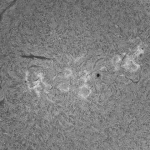 3/20朝の太陽(4030付近)