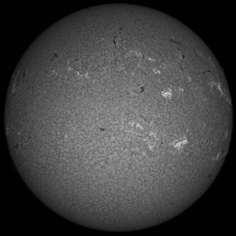 3/22朝の太陽(Hα中心付近)