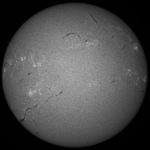 3/25朝の太陽(Hα中心付近)