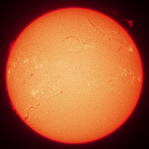 3/25朝の太陽(Hα中心付近・カラーにて)