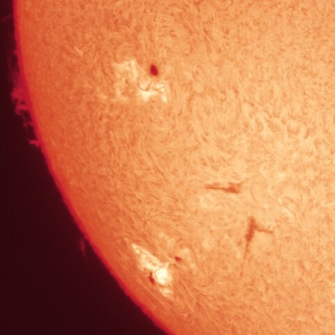 3/31朝の太陽(Hα・4046、4048付近、カラーにて)
