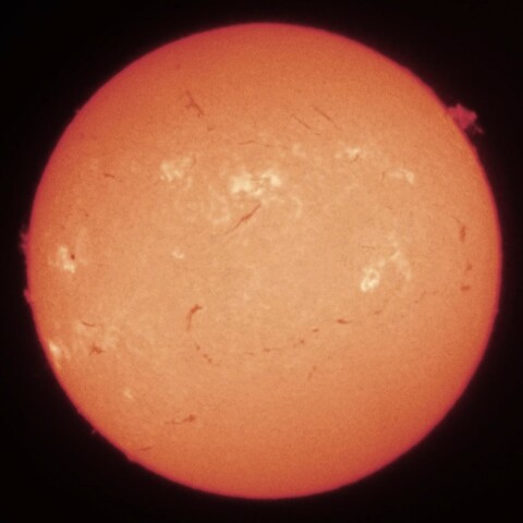 3/30夕方の太陽面(Hα中心付近)