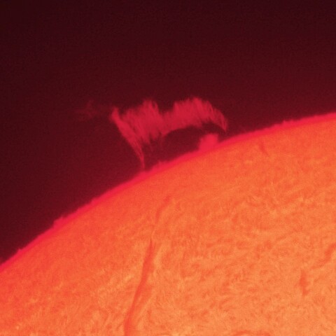 4/9昼の太陽(プロミネンス)