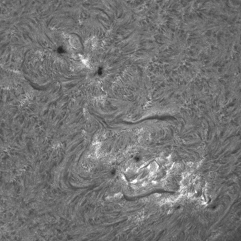 4/9昼の太陽(Hα・4048、4054付近)