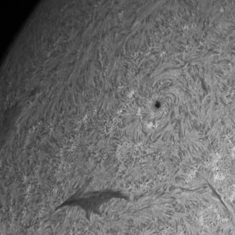 4/9昼の太陽(Hα・4056付近)