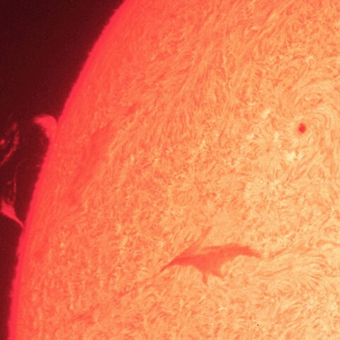 4/9昼の太陽(4056とプロミネンス)